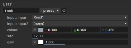 The Nest's settings in Properties: its name Look, its inputs, its colour, then the two exposed settings, size at 12 and gain at 1